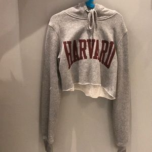 Grey cropped Harvard sweatshirt